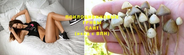 соль ск Балахна