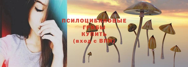 соль ск Балахна