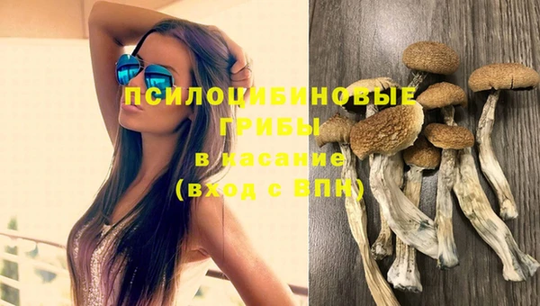 соль ск Балахна