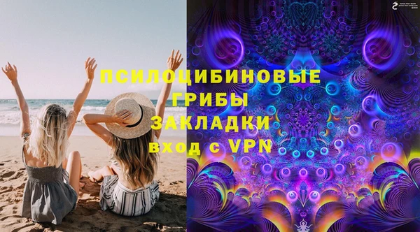 соль ск Балахна