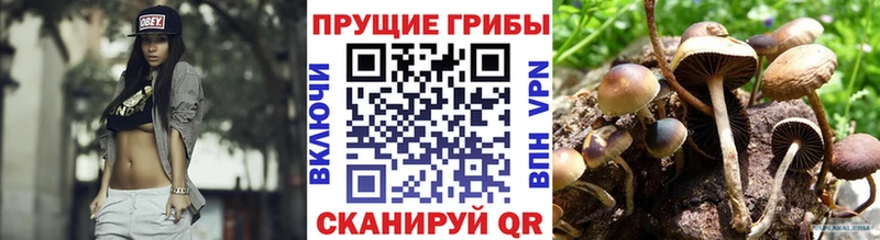 Галлюциногенные грибы мухоморы  наркота  Лосино-Петровский 